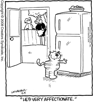 heathcliff